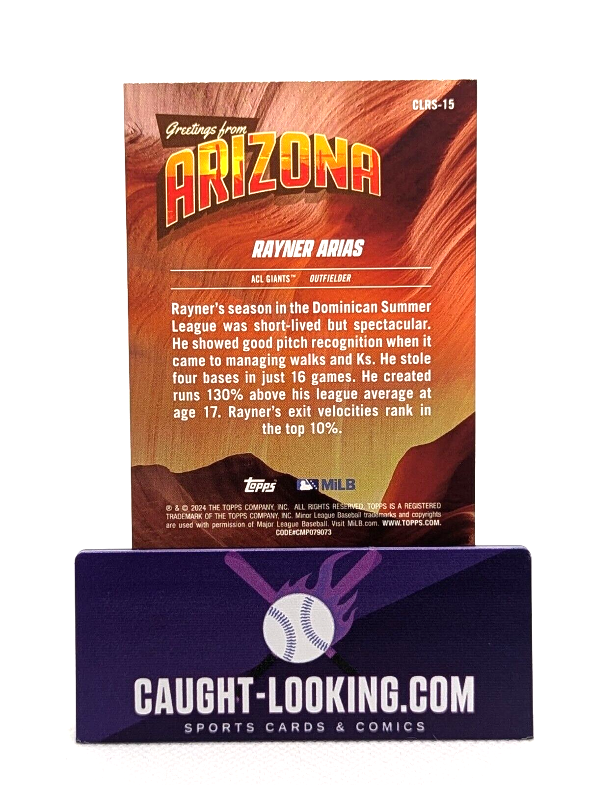 Rayner Arias - 2024 TOPPS PRO DEBUT - ARIZONA RISING STARS #CLRS-15