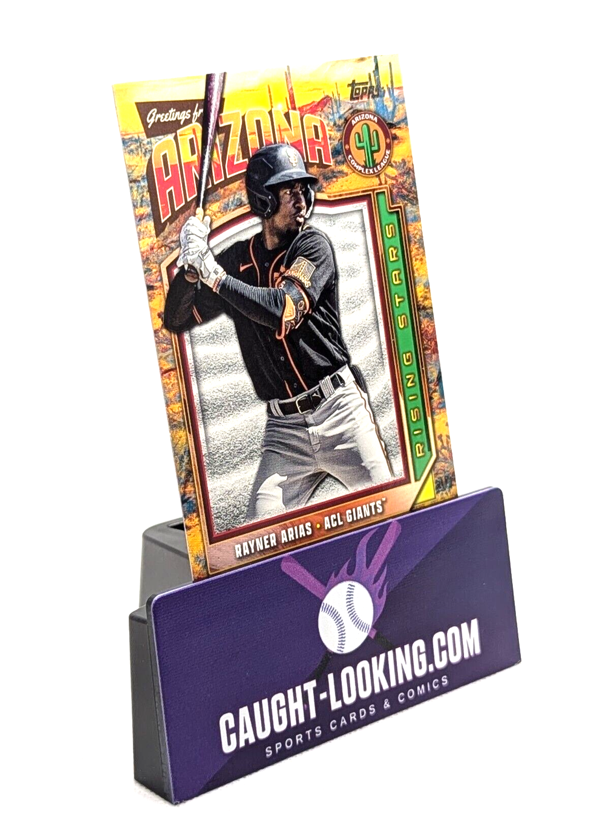 Rayner Arias - 2024 TOPPS PRO DEBUT - ARIZONA RISING STARS #CLRS-15
